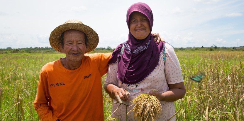 Global commitment growing for gender equality in climate action - Forests, Trees and Agroforestry