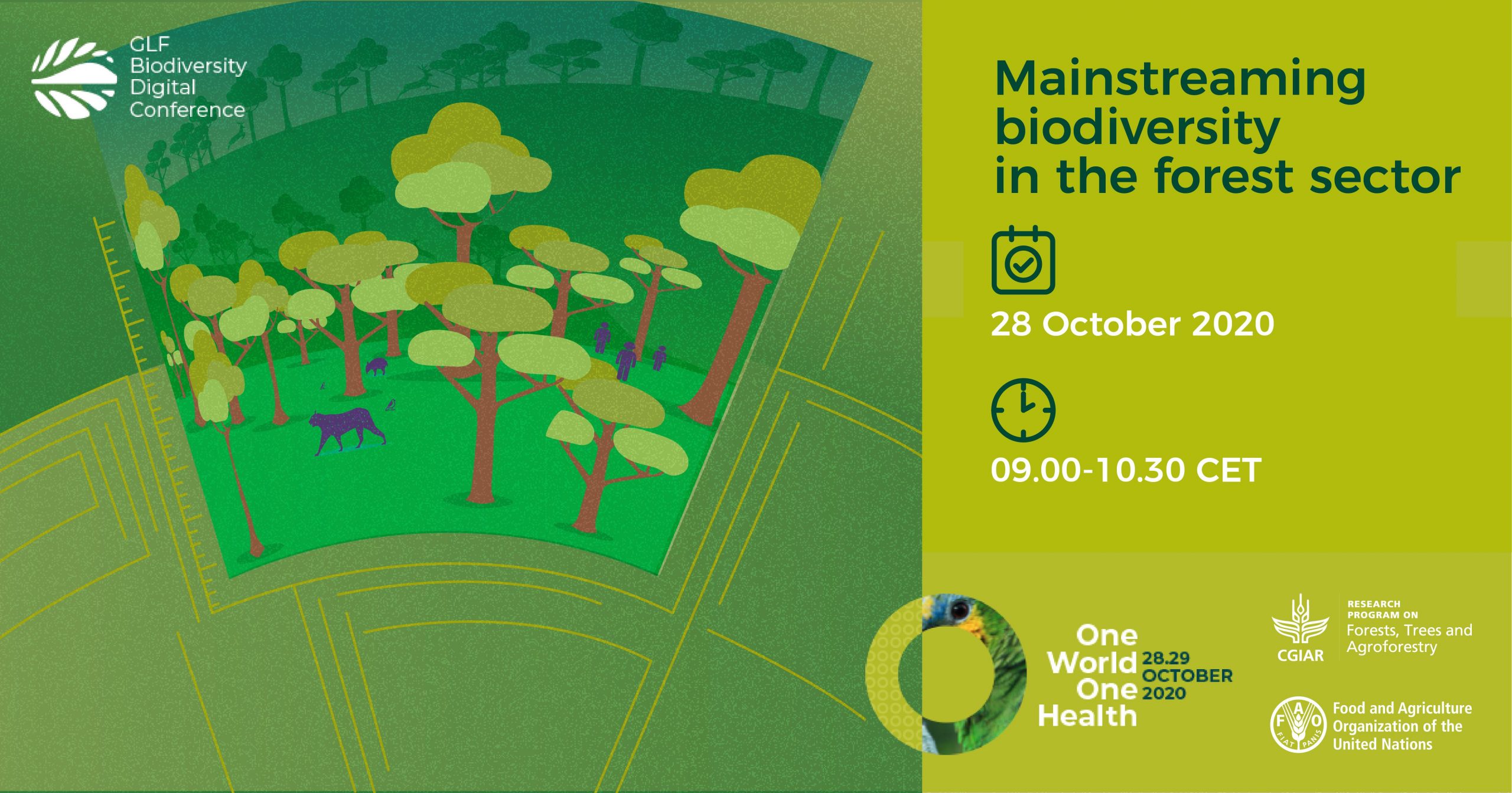 Mainstreaming biodiversity in the forest sector Forests, Trees and