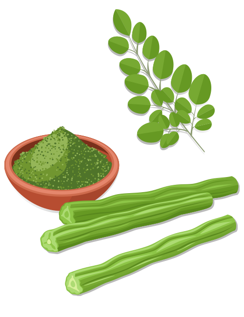 https://www.foreststreesagroforestry.org/wp-content/uploads/2021/10/Moringa-Vegetable.png